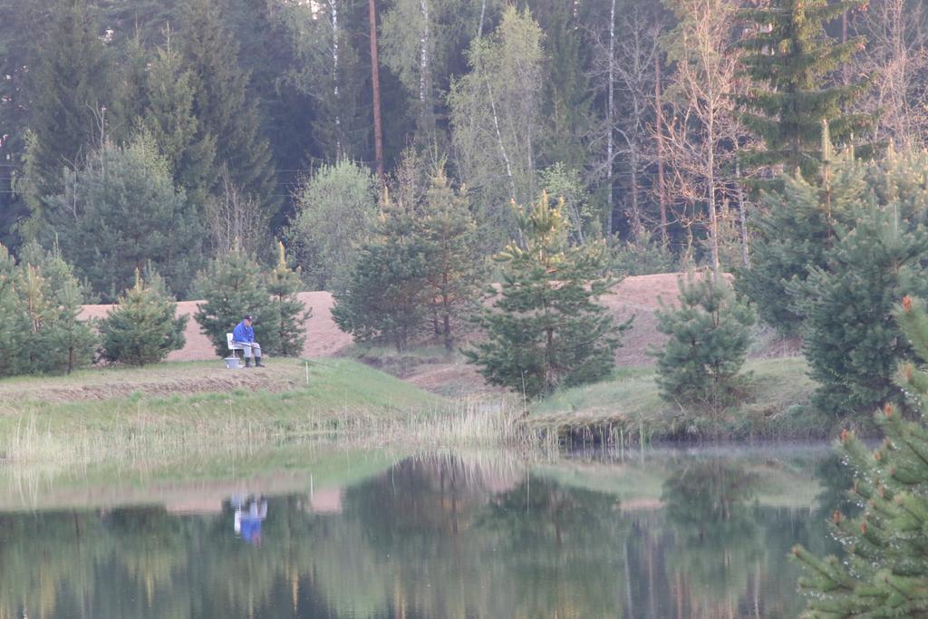 Viesu Maja Forrest Villa Dzimtmisa Exterior photo