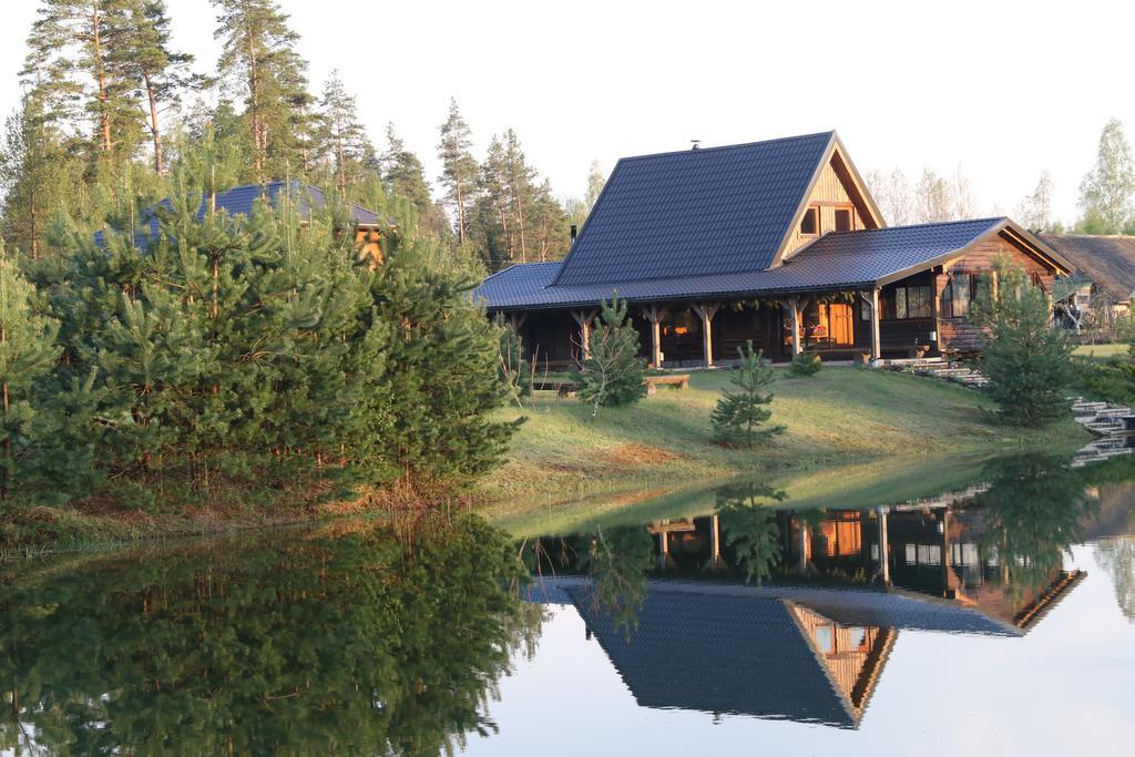 Viesu Maja Forrest Villa Dzimtmisa Exterior photo