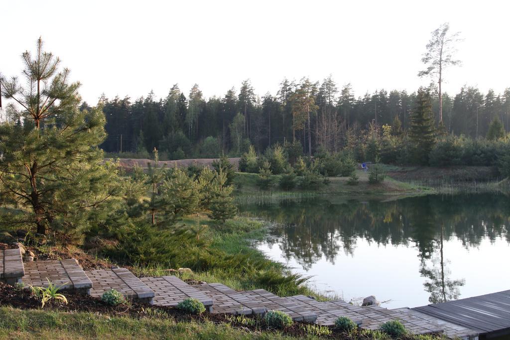 Viesu Maja Forrest Villa Dzimtmisa Exterior photo