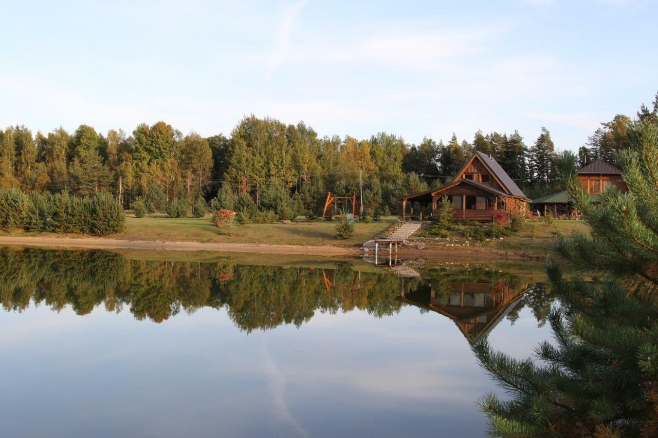Viesu Maja Forrest Villa Dzimtmisa Exterior photo
