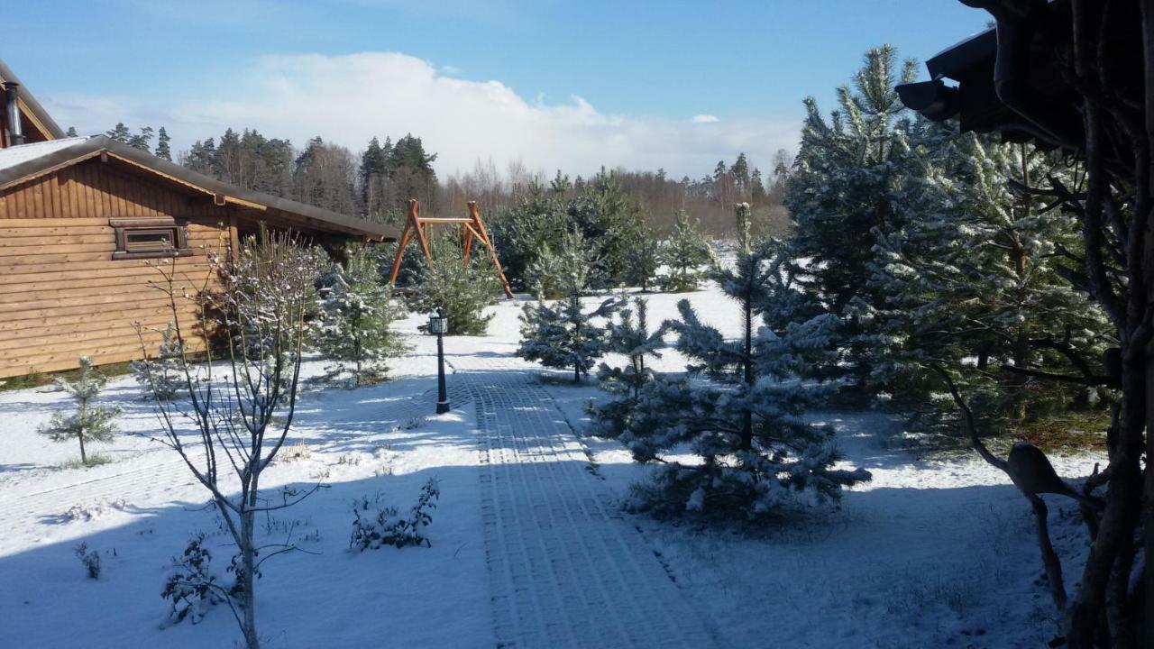 Viesu Maja Forrest Villa Dzimtmisa Exterior photo